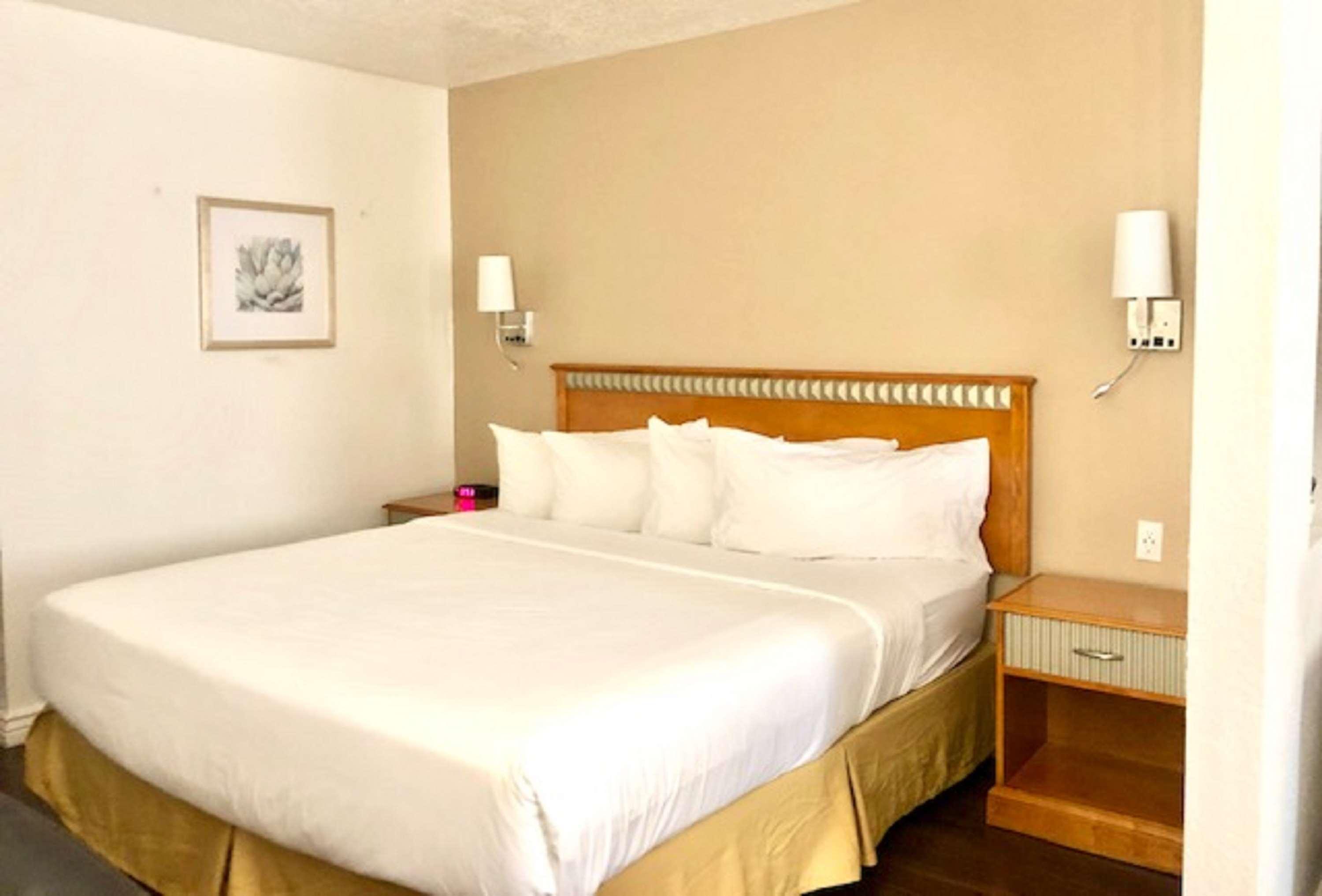 Surestay Plus Hotel By Best Western Albuquerque I-40 Eubank Buitenkant foto