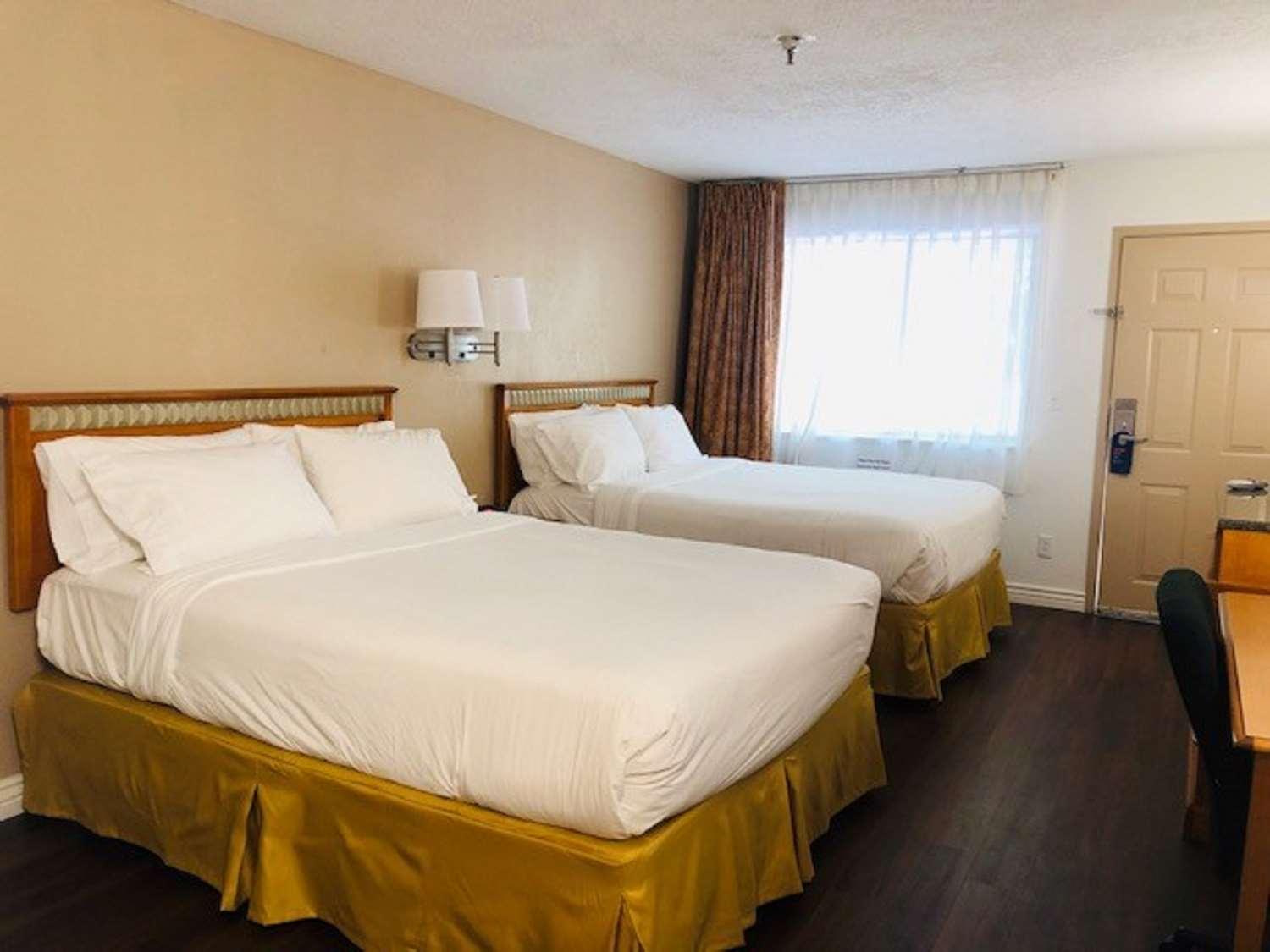 Surestay Plus Hotel By Best Western Albuquerque I-40 Eubank Buitenkant foto